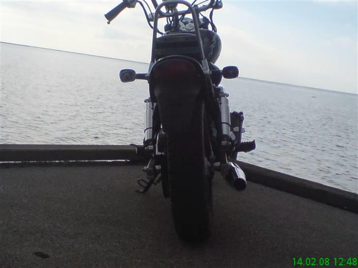 Regal Raptor Projekt billede 4