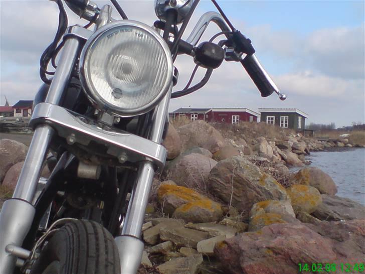 Regal Raptor Projekt billede 5