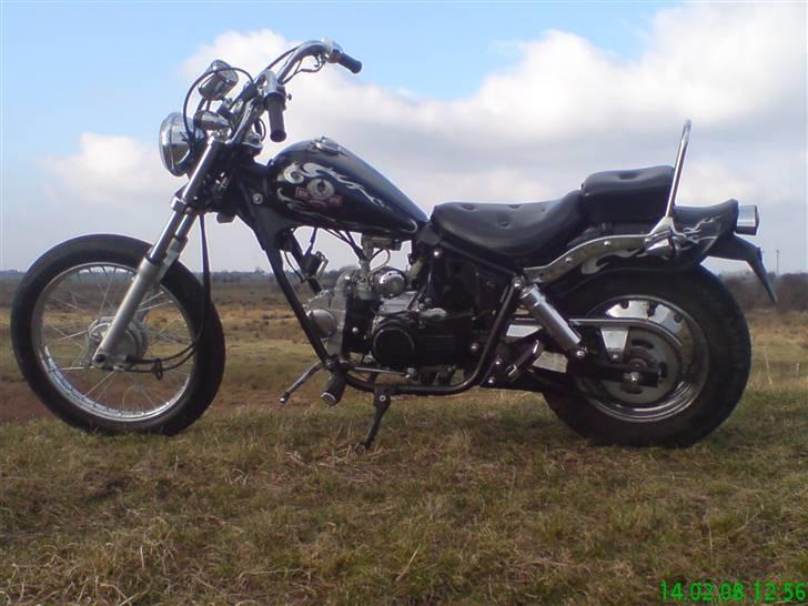 Regal Raptor Projekt billede 6