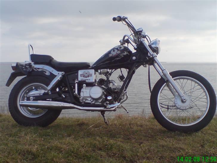 Regal Raptor Projekt billede 7