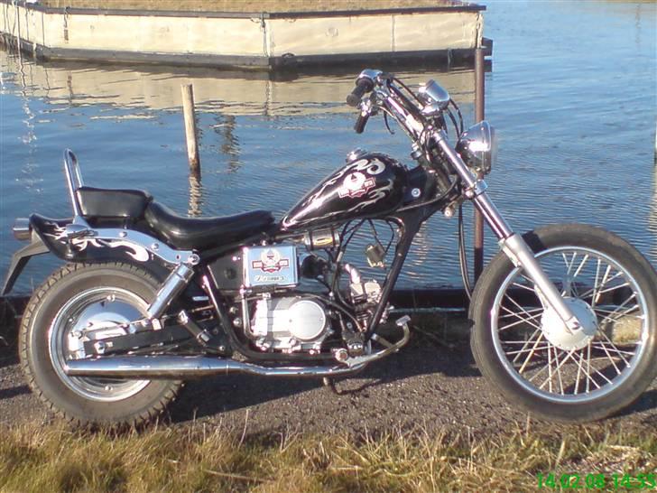 Regal Raptor Projekt billede 8