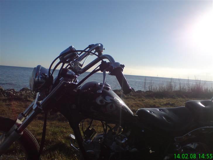 Regal Raptor Projekt billede 9