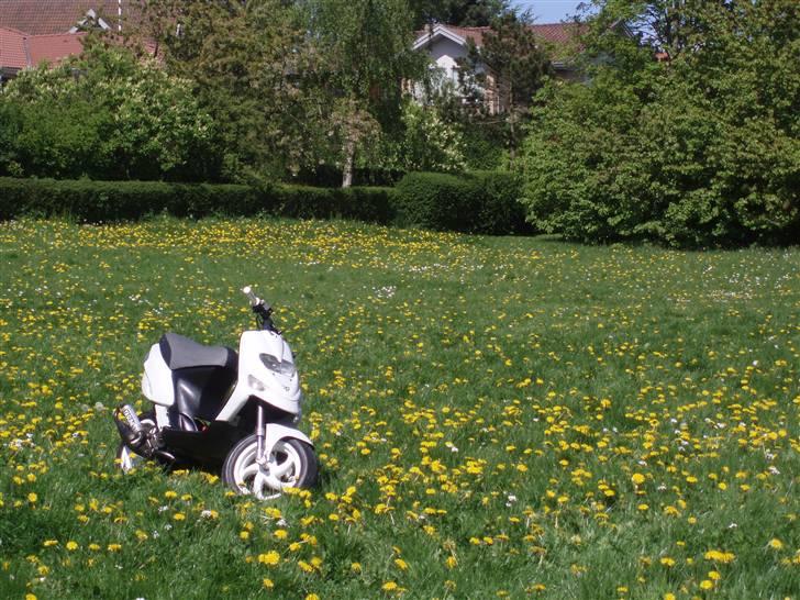 Gilera Stalker Solgt billede 1