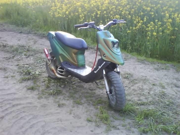 PGO Hot Evo * Vildbassen * billede 1