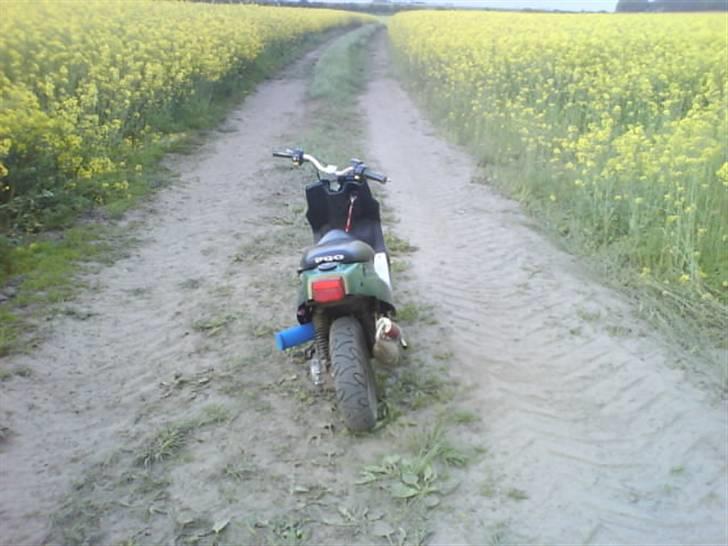 PGO Hot Evo * Vildbassen * billede 2