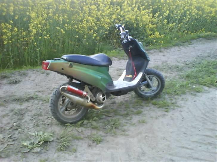 PGO Hot Evo * Vildbassen * billede 3