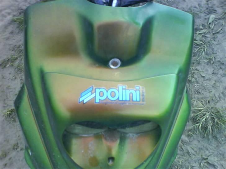 PGO Hot Evo * Vildbassen * billede 4