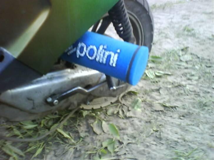 PGO Hot Evo * Vildbassen * billede 5