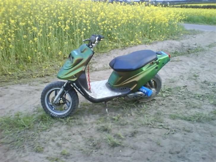 PGO Hot Evo * Vildbassen * billede 6