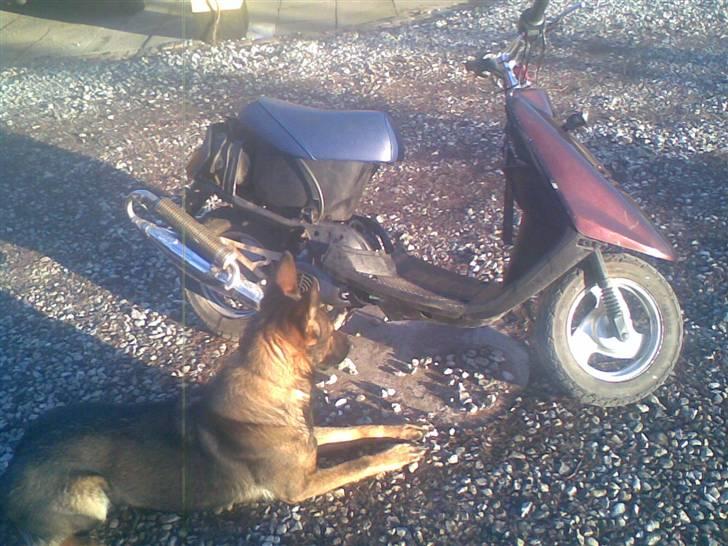 Yamaha Jog Evo billede 4