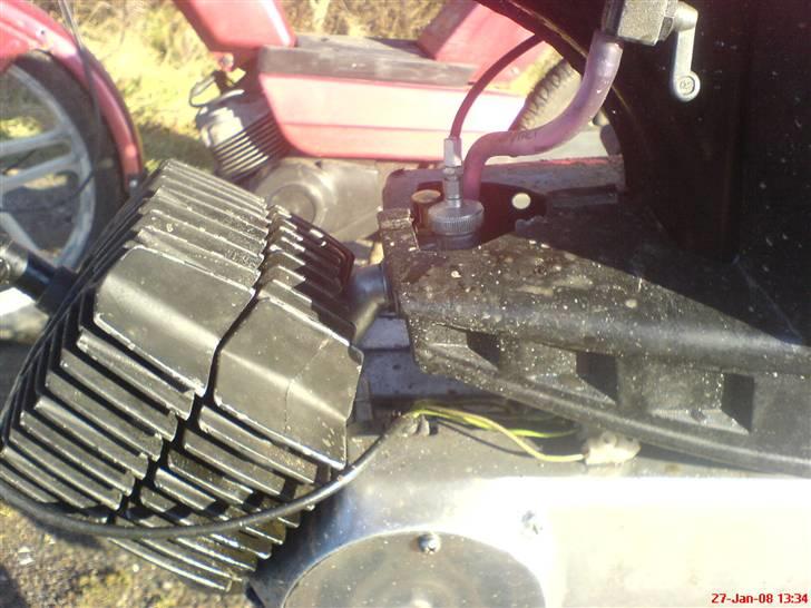 Puch Grand prix Før - Grethe billede 4