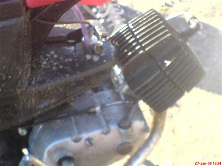 Puch Grand prix Før - Grethe billede 6