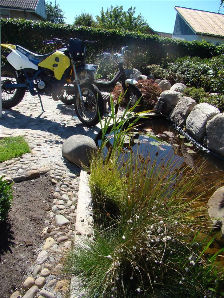 Suzuki SMX LC DD Byttede billede 16