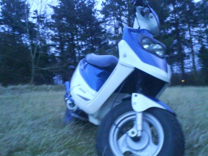 PGO hot 50 solgt billede 11