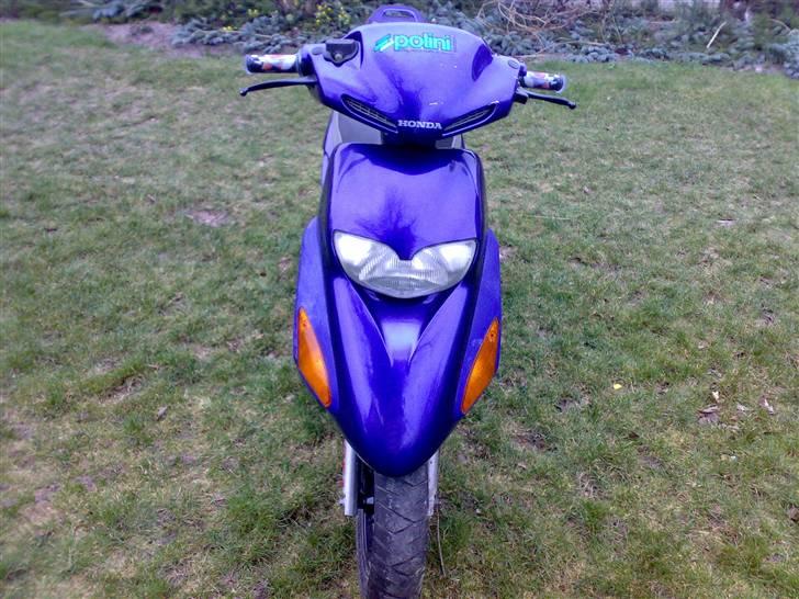 Honda sfx (SOLGT) billede 10