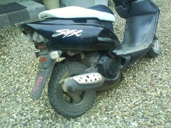 Honda SFX FØR billede 5