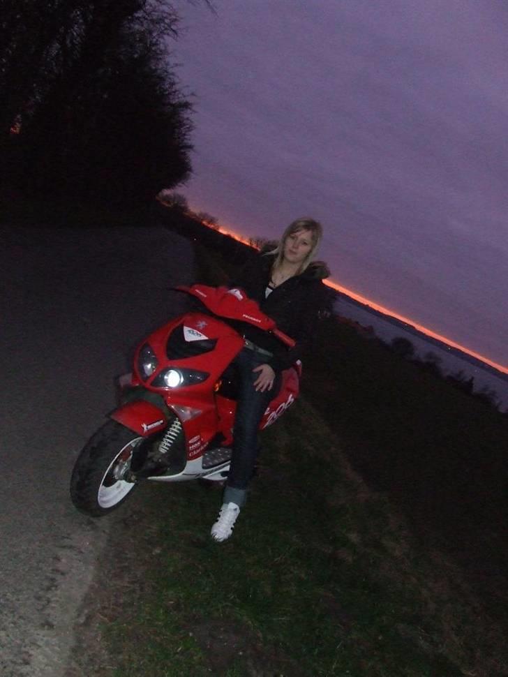 Peugeot Speedfight 2 - 16 feb 2008 billede 16