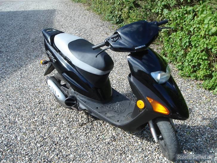 Honda SFX (Solgt) - Billede fra gammel ejer. billede 5