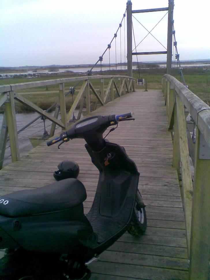 PGO hot 50 billede 7