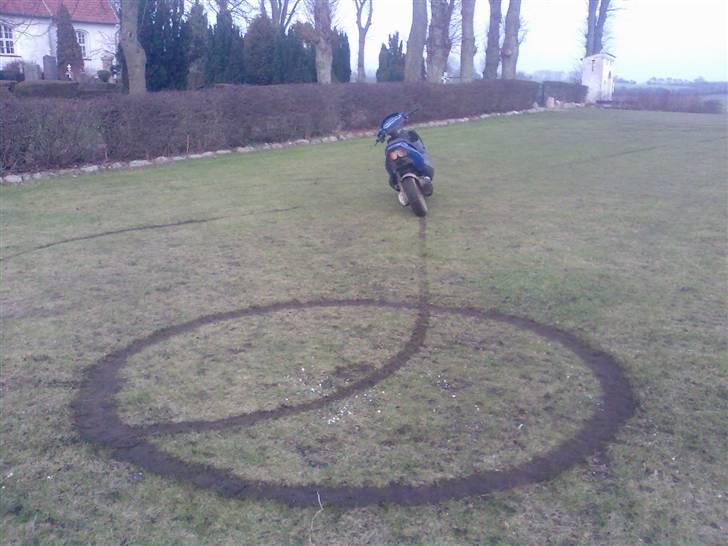 PGO Dr.big  billede 10