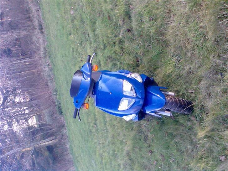 PGO Dr.big  billede 13