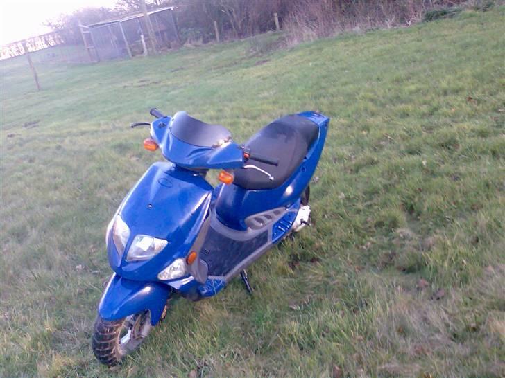 PGO Dr.big  billede 14