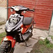 PGO Hot 50