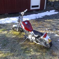 MiniBike Chopper "Night thunder"