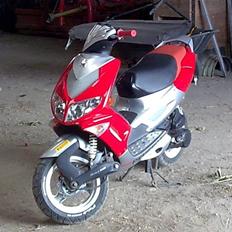 Peugeot speedfight rally victory