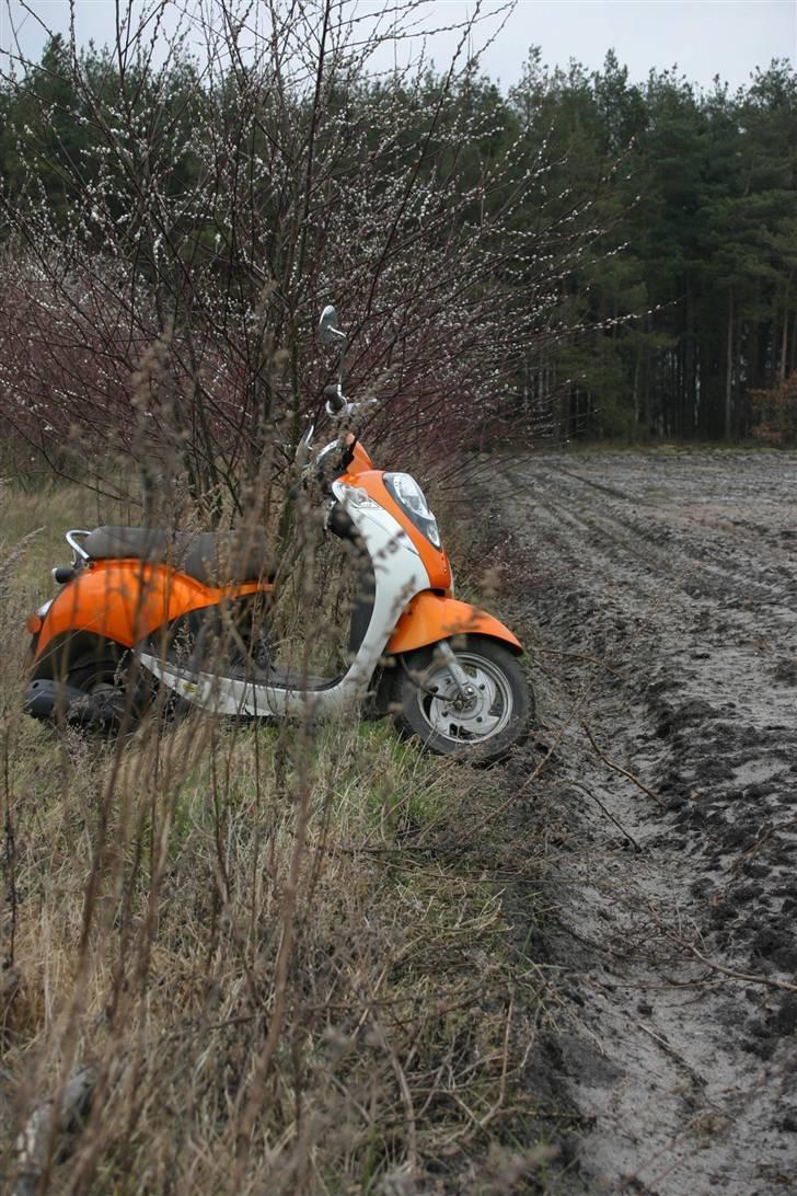 Sym Mio 50 rip billede 12