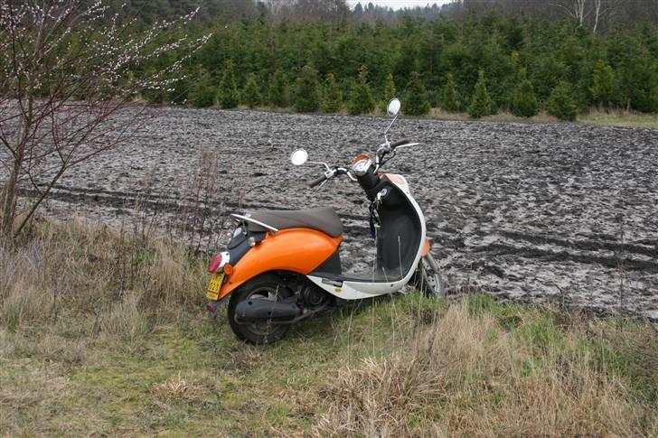 Sym Mio 50 rip billede 13