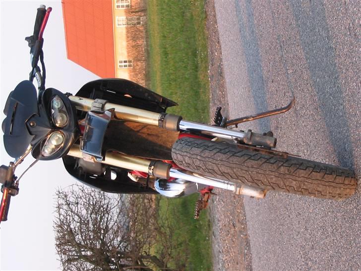 Suzuki SMX billede 4