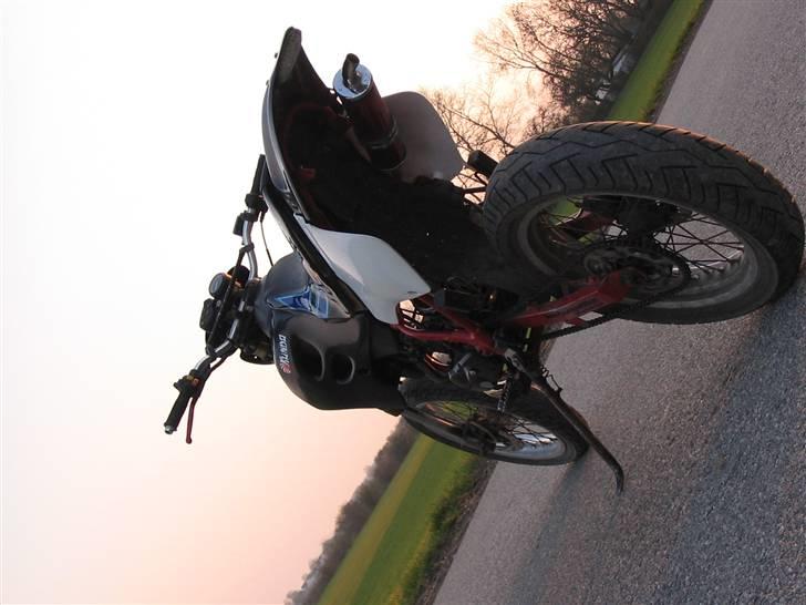 Suzuki SMX billede 17
