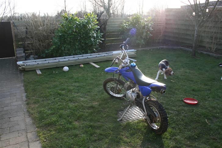 MiniBike dirt bike 125cc *Solgt* billede 2