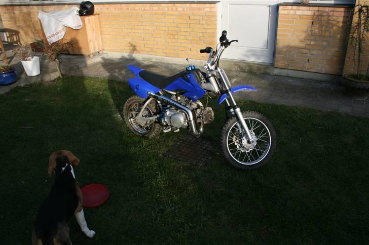 MiniBike dirt bike 125cc *Solgt* billede 3