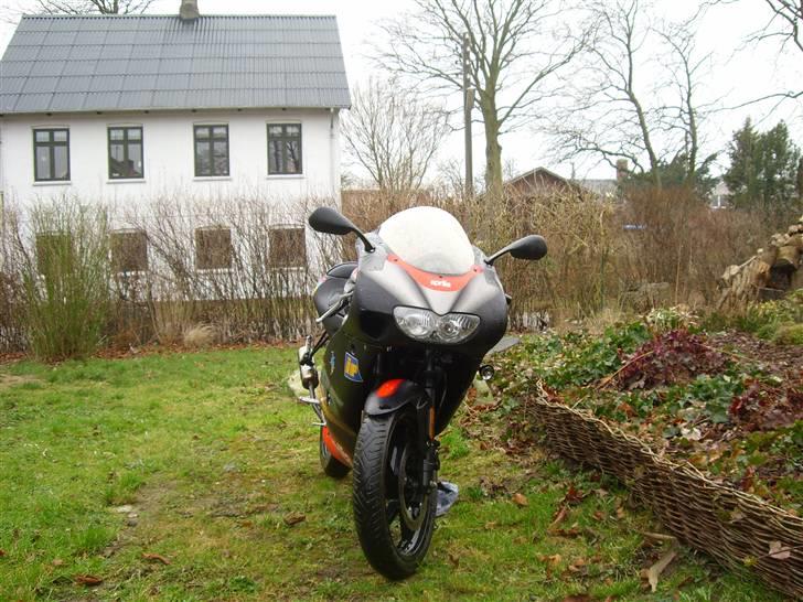 Aprilia RS 50 LC DD *SOLGT billede 2