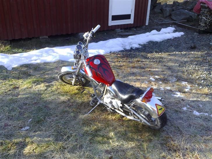 MiniBike Chopper "Night thunder" billede 2