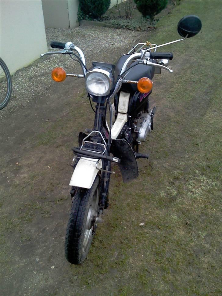 Suzuki  Fz 50 (spritter) billede 1