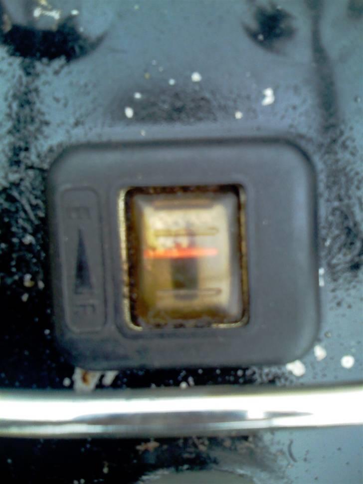 Suzuki  Fz 50 (spritter) billede 10