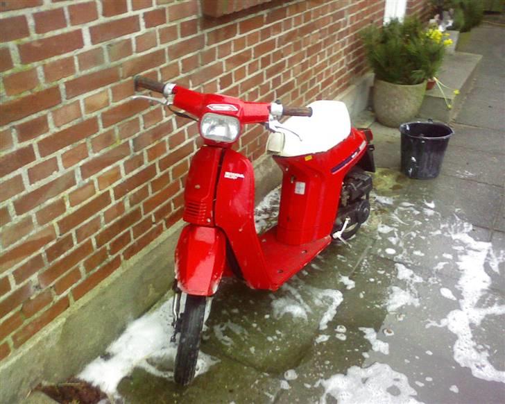 Honda melody mini *DØD* billede 1