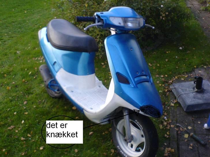 PGO comet solgt - det er det skjold set der er med til de to scootere billede 6