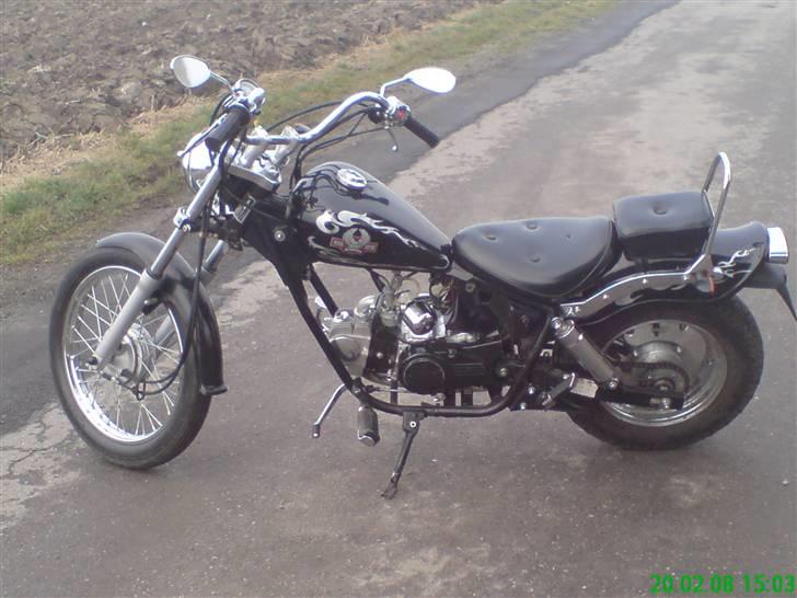 Regal Raptor Projekt billede 10