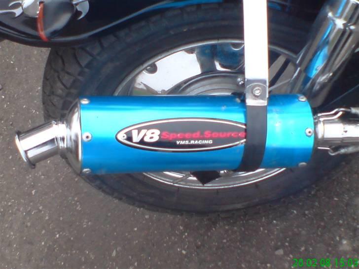 Regal Raptor Projekt billede 11