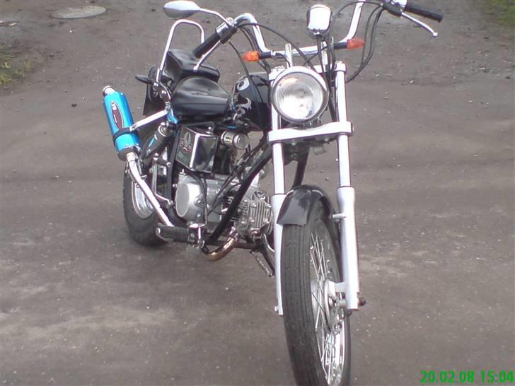 Regal Raptor Projekt billede 12