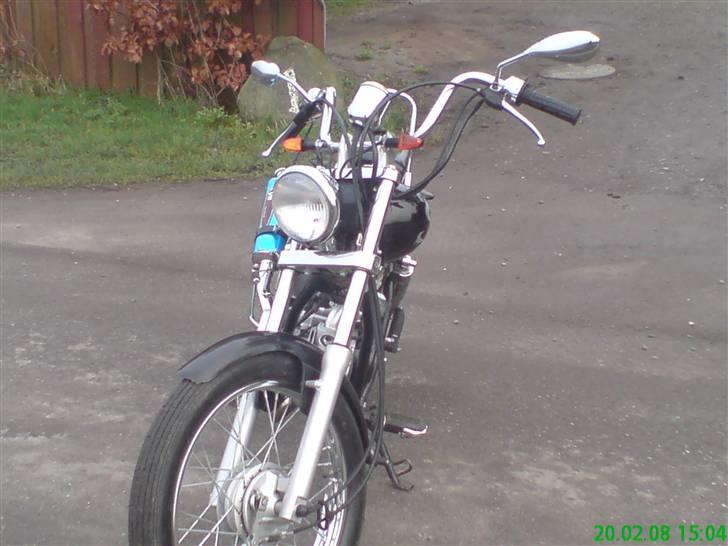 Regal Raptor Projekt billede 13