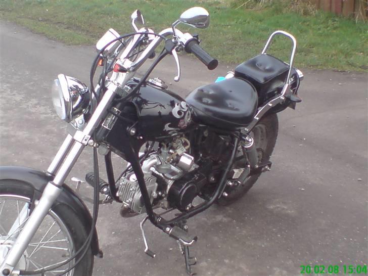 Regal Raptor Projekt billede 14