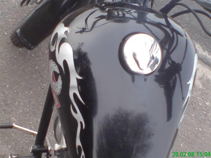 Regal Raptor Projekt billede 15