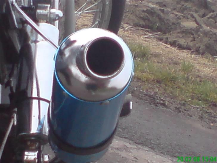 Regal Raptor Projekt billede 16