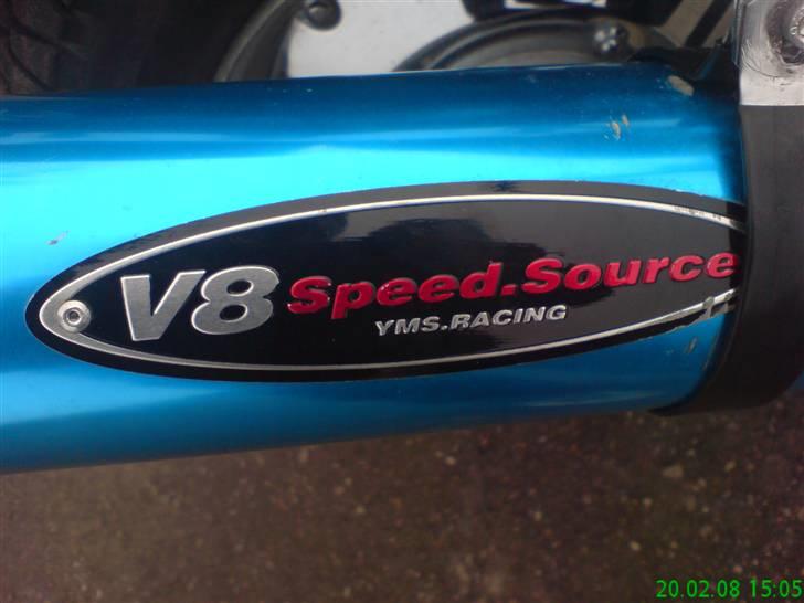 Regal Raptor Projekt billede 17