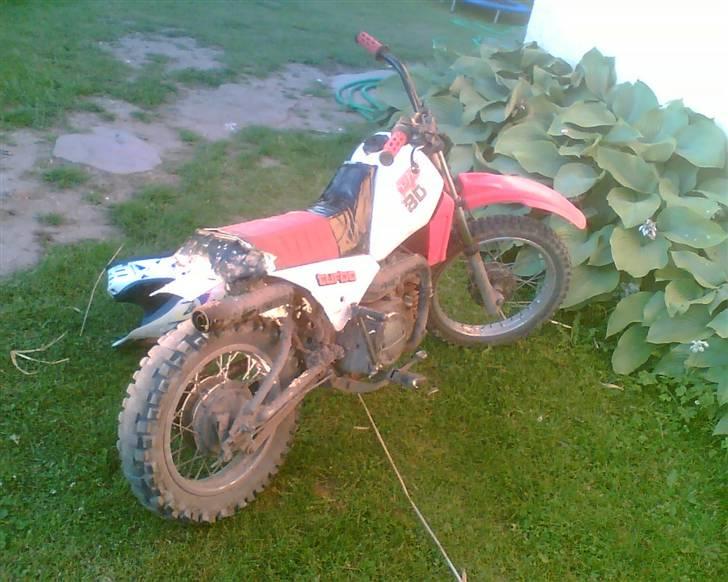 Yamaha pw 80 solgt billede 3